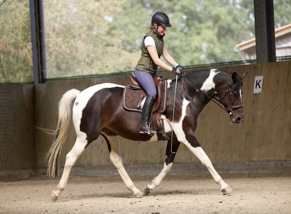 Mixed Riding Transforming Horse and Rider - Connected Riding